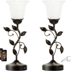 Special Touch Control Table Lamp with 2 USB Charging Ports, Dimmable, Bulb Included