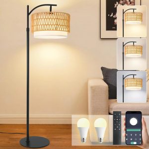 Special Gold Boho Rattan Floor Lamp w/Remote, Dimmable