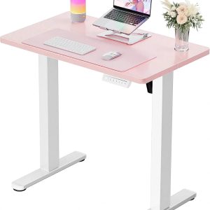 Special Height Adjustable Electric Standing Desk, 48 x 24 Inches Sit Stand up Desk