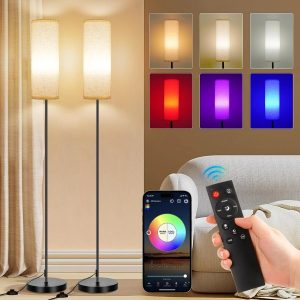 Special FRIDEKO HOME 2 Pack Floor Lamp, Dimmable, Modern Floor Lamp with Remote